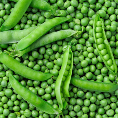 Pea