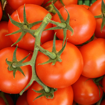 Tomato