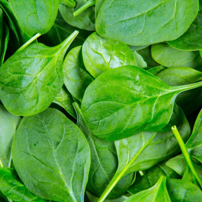 Spinach