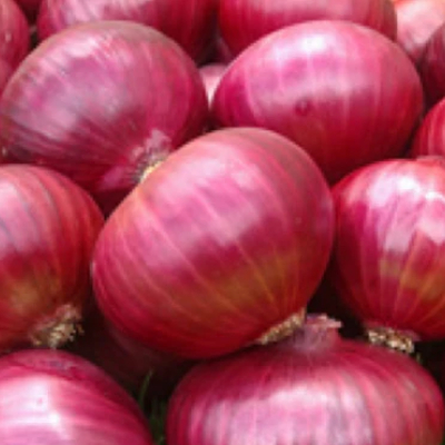 Onion