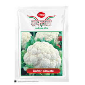 Cauliflower Daftari Shweta