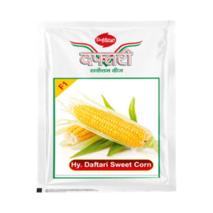 Daftari Sweet Corn