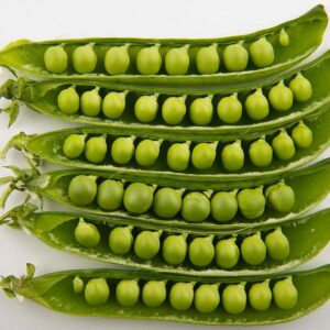Green Pea Daftari – DPM-10 (Madhu)