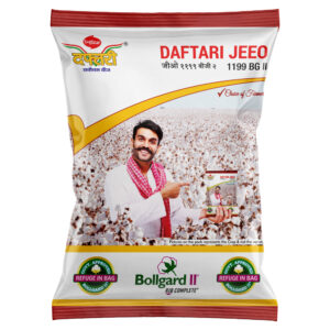 HY cotton Daftari JEEO (D-1199 BG II)