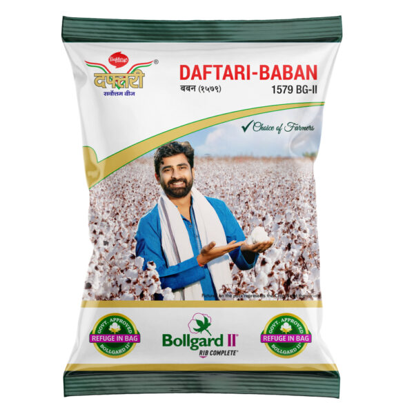 Hy. Daftari 1579 BG II