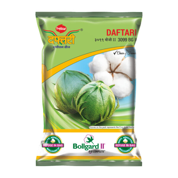 Hy. Daftari Daftari 3099 BG- II